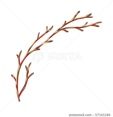 Illustration of dry branch. 57141280