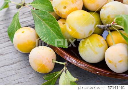 Ecologically grown yellow plums in a bowl. Ecologically grown yellow plums in a bowl. 57141461