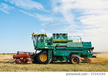 Combine harvester harvests ripe wheat. Ripe ears of gold field on the sunset cloudy orange sky background. . Concept of a rich harvest. Agriculture image 57141543