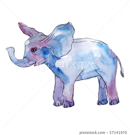 Baby elephant animal isolated. Watercolor background illustration set. Isolated elephant 57141970