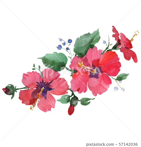 Red hibiscus bouquet floral botanical flowers.... - Stock Illustration ...