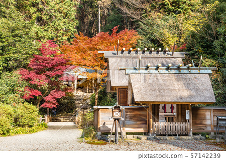 The outer shrine Itagaki Omon and autumn leaves Hyuga Daijingu 57142239