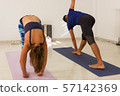 Couple of students practicing ashtanga yoga Mysore style. Individual practice in group. Female yogi in padahastasana and man in parivrtta trikonasana. Standing poses. Healthy exercise concept 57142369