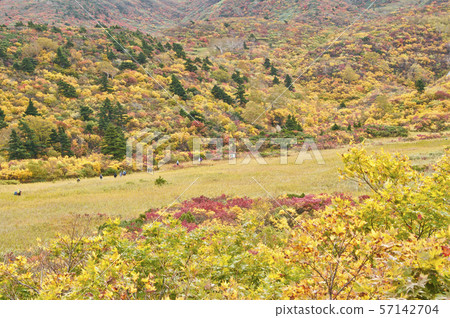 Mount Kurikomi of Kusumi 57142704