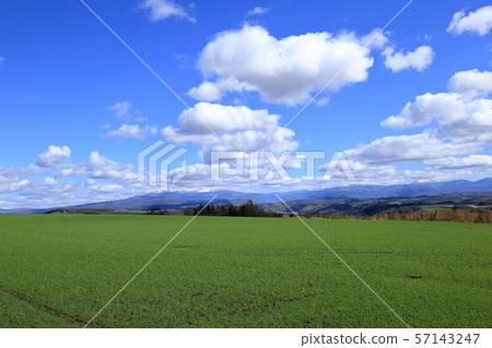 [平價]富良野田園風光（北海道/富良野市/秋/十月） 57143247