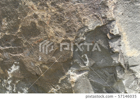 Rough rough skin Rough rough skin 57146035