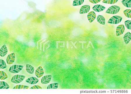 Fresh green leaves watercolor Fresh green leaves watercolor 57149866