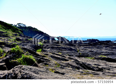 Jogashima馬的後門 Jogashima馬的後門 57150954