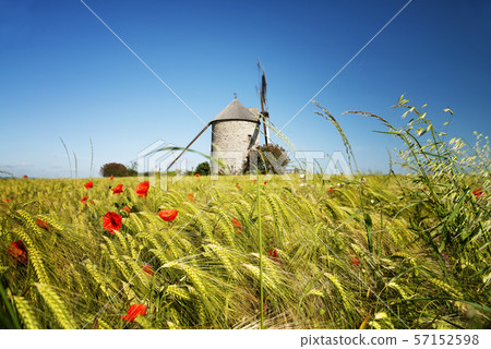 windmill in Pontorson windmill in Pontorson 57152598