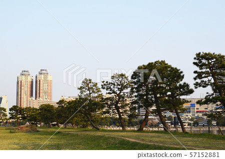 Odaiba Daiba Park Odaiba Daiba Park 57152881