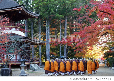 Autumn leaves of Mt. Koya Autumn leaves of Mt. Koya 57153644