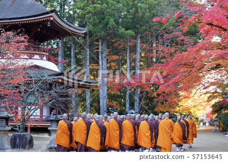 Autumn leaves of Mt. Koya Autumn leaves of Mt. Koya 57153645