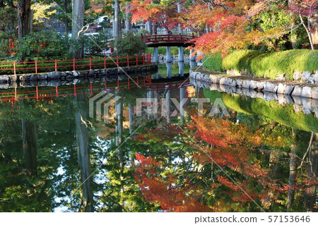 Autumn leaves of Mt. Koya Autumn leaves of Mt. Koya 57153646