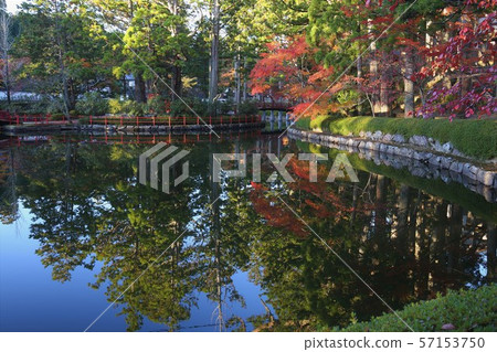 Autumn leaves of Mt. Koya Autumn leaves of Mt. Koya 57153750
