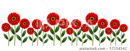 Red flowers line 57154542