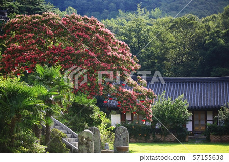 Manyeonsa寺,寺廟 Manyeonsa寺,寺廟 57155638