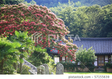 Manyeonsa寺,寺廟 Manyeonsa寺,寺廟 57155639