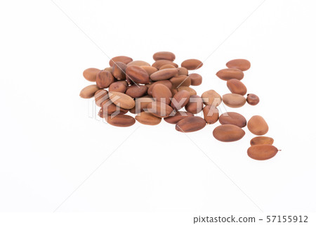 Dalbergia cochinchinensisseeds on white background. 57155912