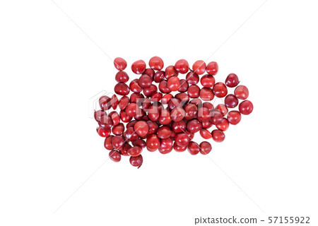 Dalbergia cochinchinensisseeds on white background. 57155922