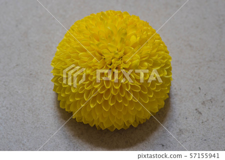 乒乓媽媽 57155941