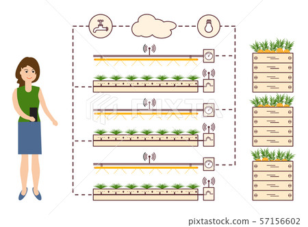 Woman controls the smart farm and agriculture Woman controls the smart farm and agriculture 57156602
