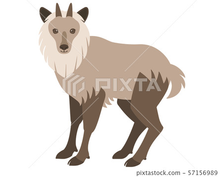 Illustration of Japanese serow 57156989