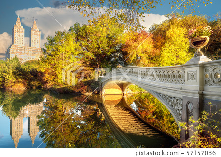 Bow Bridge in Central Park in New York Bow Bridge in Central Park in New York 57157036
