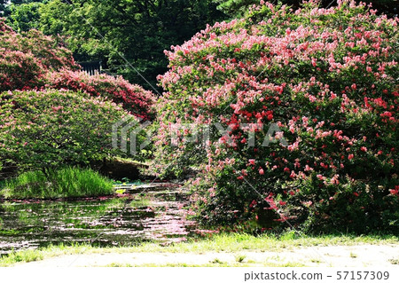 Myeongok Garden, Garden Myeongok Garden, Garden 57157309