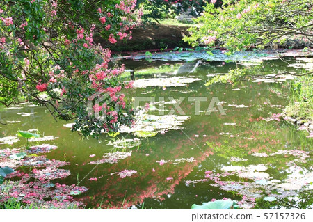 Myeongok花園,花園 Myeongok花園,花園 57157326