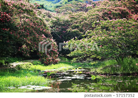 Myeongok Garden, Garden Myeongok Garden, Garden 57157352