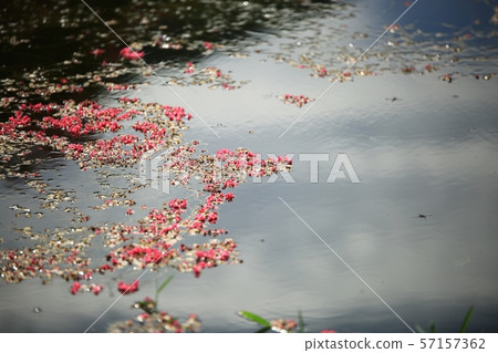Myeongok花園,花園 Myeongok花園,花園 57157362