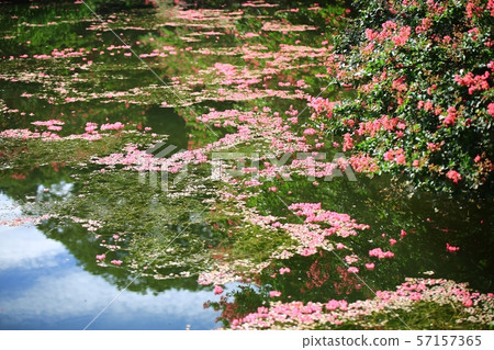 Myeongok花園,花園 Myeongok花園,花園 57157365