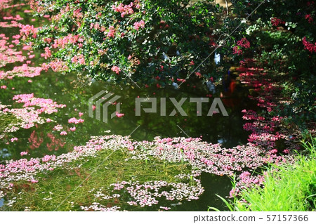 Myeongok花園，花園 57157366