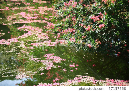 Myeongok Garden, Garden Myeongok Garden, Garden 57157368