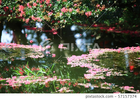 Myeongok Garden, Garden 57157374