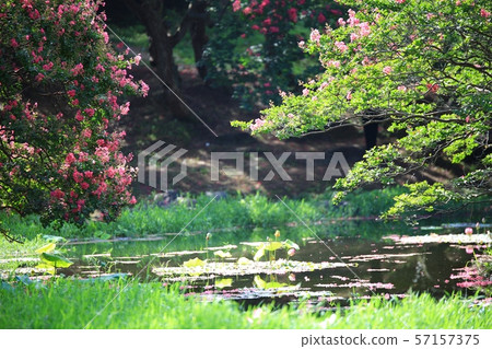 Myeongok Garden, Garden 57157375