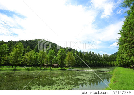 我想走路，元路 57157789