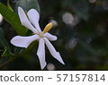 Silence 57157814