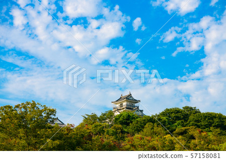 [Shizuoka Prefecture] Hamamatsu Castle Park Hamamatsu Castle Hamamatsu Castle 57158081