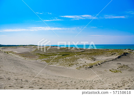 [Shizuoka] Nakatajima dune 57158618