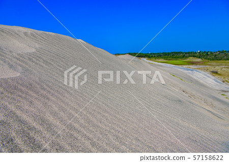 [Shizuoka] Nakatajima dune 57158622