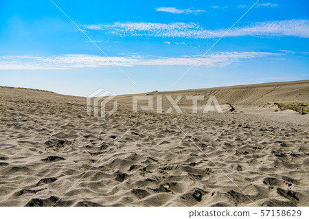 [Shizuoka] Nakatajima dune 57158629