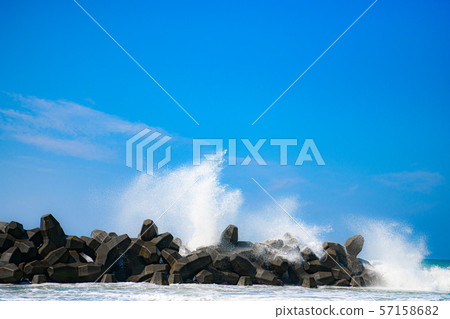 [Shizuoka] Nakatajima dune 57158682