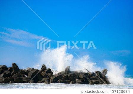 [Shizuoka] Nakatajima dune 57158684