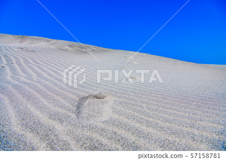 [Shizuoka] Nakatajima dune 57158781