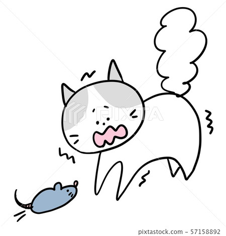 Chicken cat 57158892