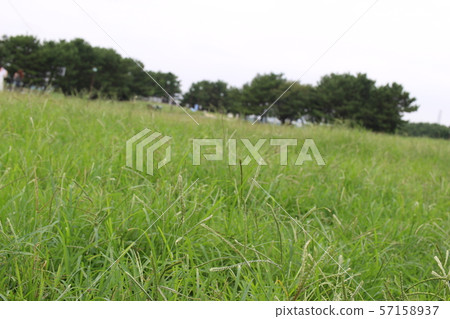 Beyond the field Beyond the field 57158937