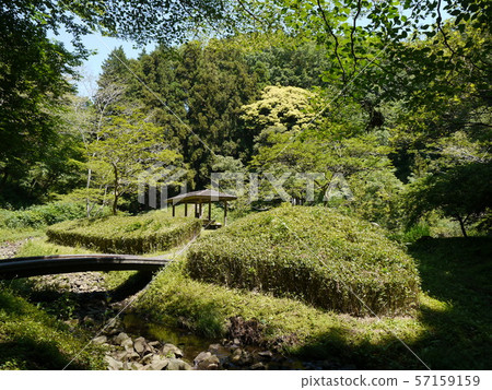 八幡山和八幡神社（神奈川縣50個景點） 57159159