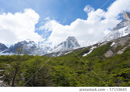French Valley landscape, Torres del Paine, Chile 57159685