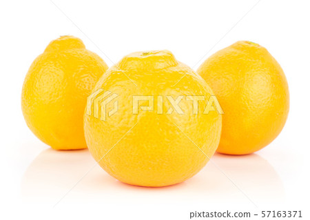 Orange minneola tangelo isolated on white 57163371